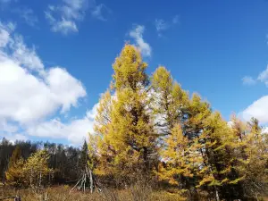 奧倫布坎景區