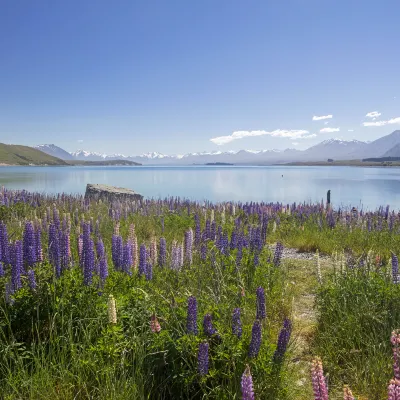 Отели рядом с достопримечательностью «Каролайн Бэй»