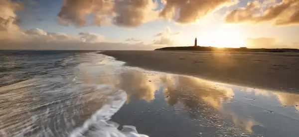 Hotels in Texel