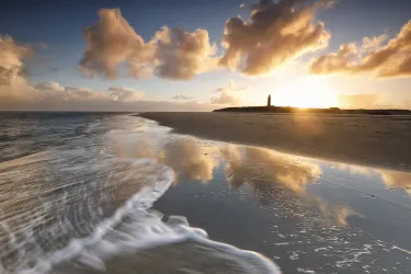 Texel