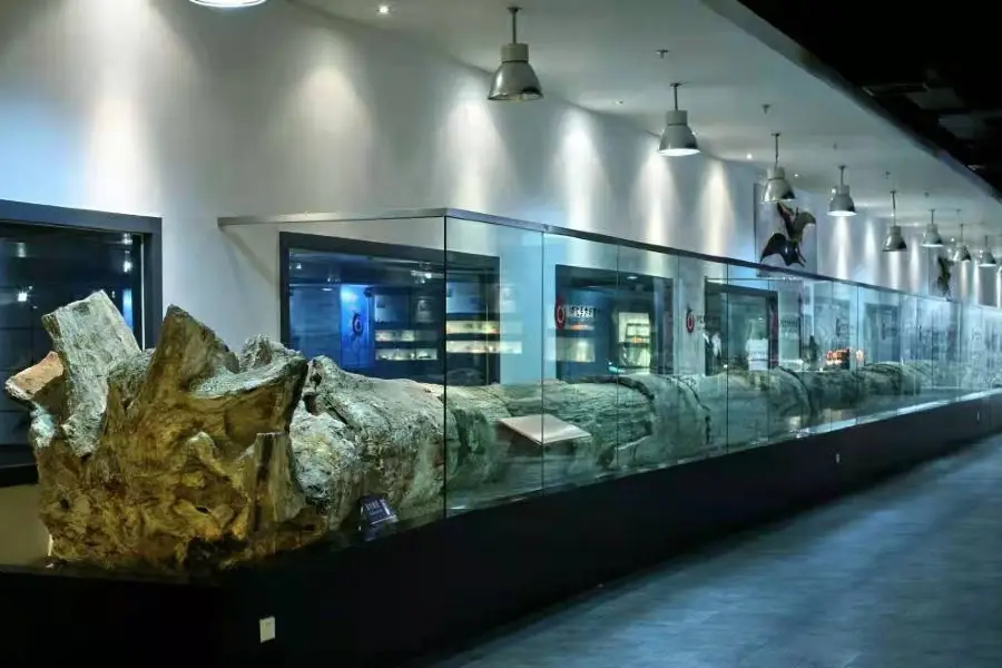 Zhejiang Oriental Geological Museum (5th Floor, Zhonggang City)
