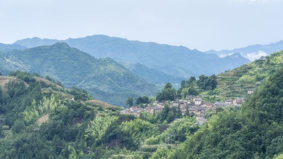 松陽老街+楊家堂村+陳家鋪村+松莊村一日遊【包車遊】
