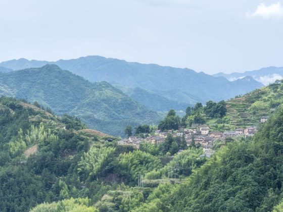 陳家鋪村