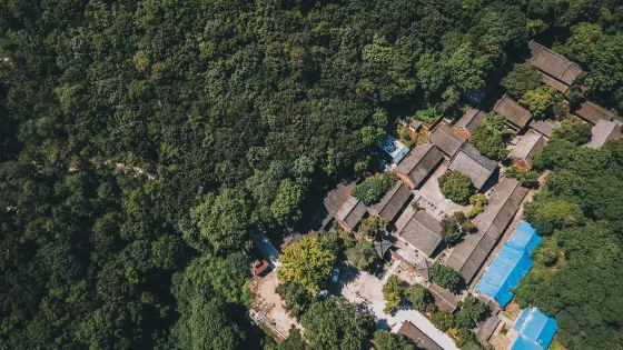 菩提寺