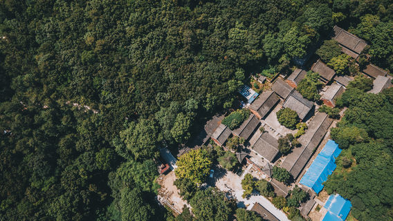 Henan Puti Siyoulan Unit