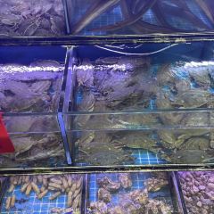 金海湾海鲜排档(朱家尖店) User Photo