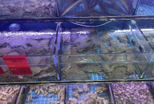 金海灣海鮮排檔用戶圖片