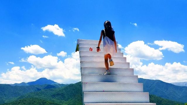 Birch Forest Scenic Spot