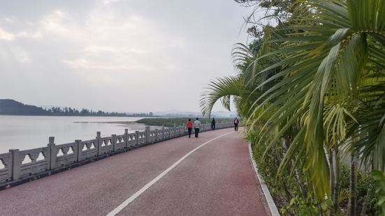 廣西濱海公路規劃1主線4支線總里程474.6公里，路線走向基