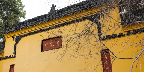 成都私人遊:大熊貓、文殊院、簡陽人民公園及更多