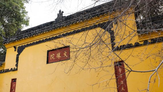 Chengdu Private Tour: Panda, Wenshu Temple, People's Park & More