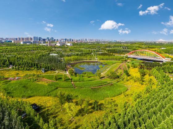 Green Green Gallery in Fengxi