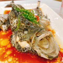 GIM SENG 여행 사진