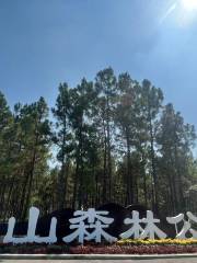 河南省安山森林公園