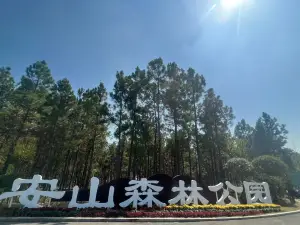 Аншаньский лесный парк
