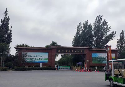 Tanghe National Wetland Park