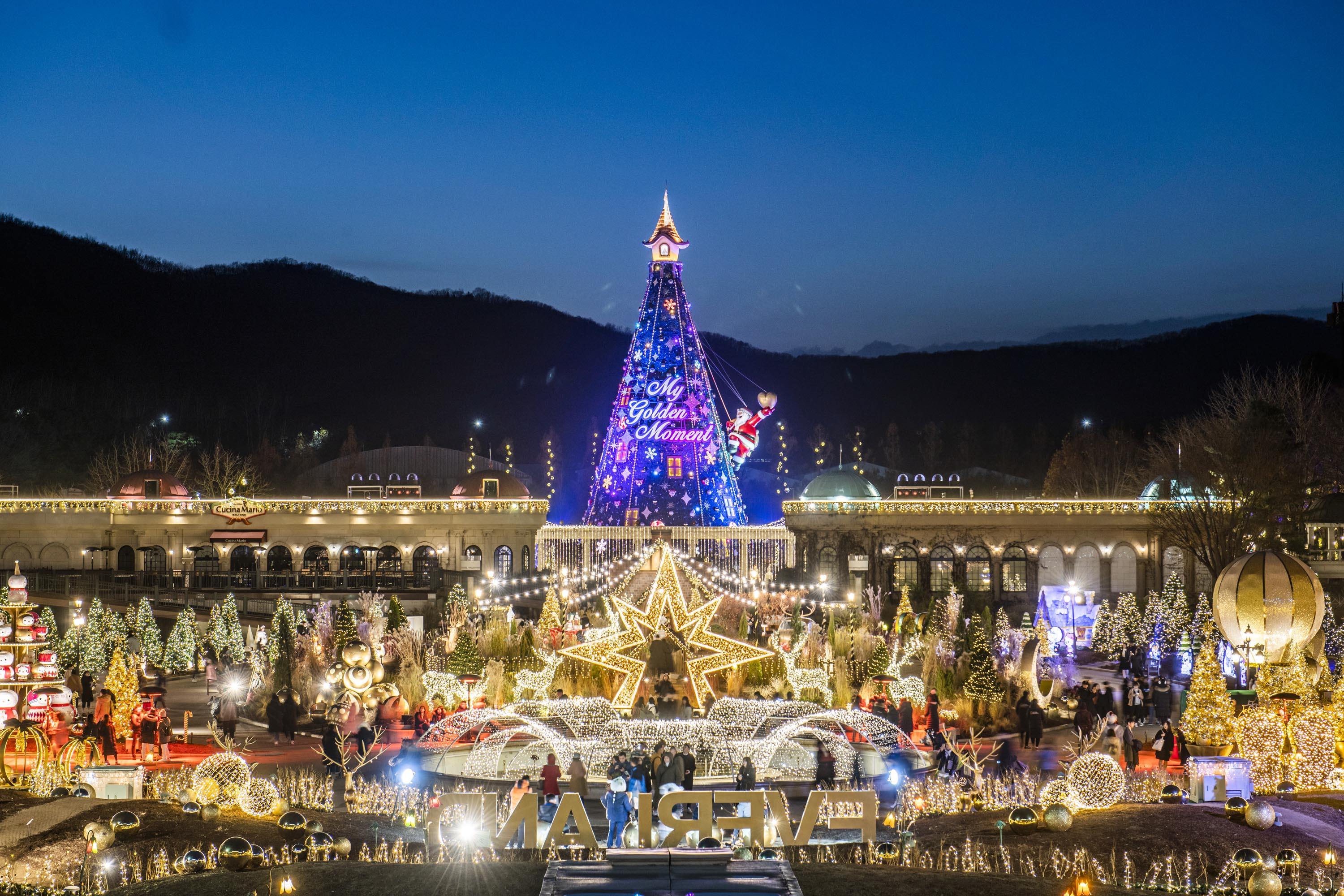 용인의 인기 야경 필수 코스