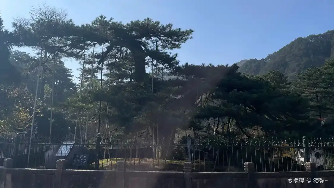 봉황송 주변 호텔