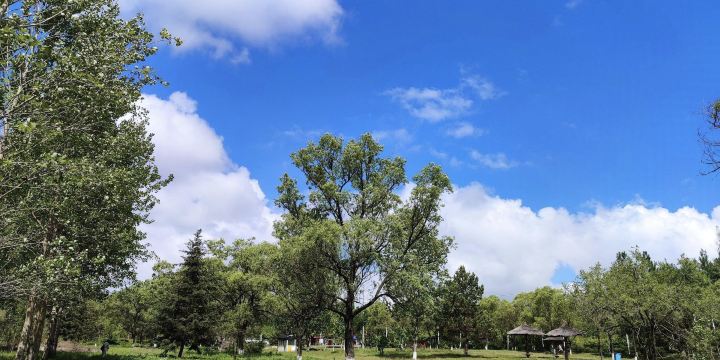 Jixi Zoo and Botanical Garden