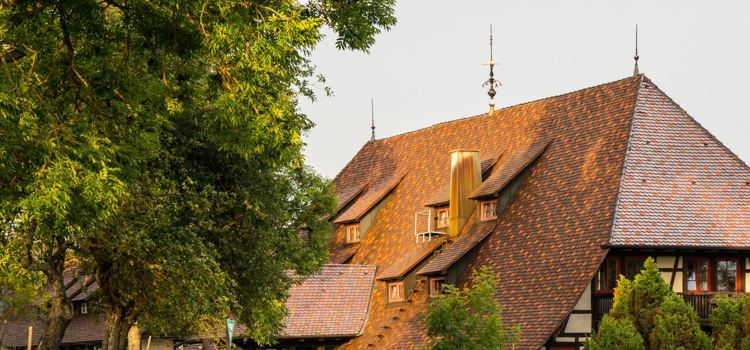Restaurant Hohenkarpfen
