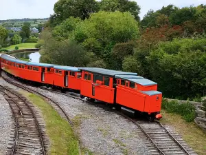 Cockle Train