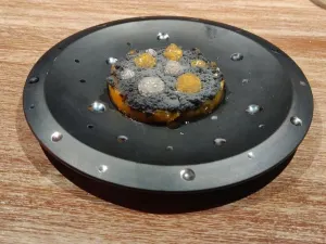 GAGGAN