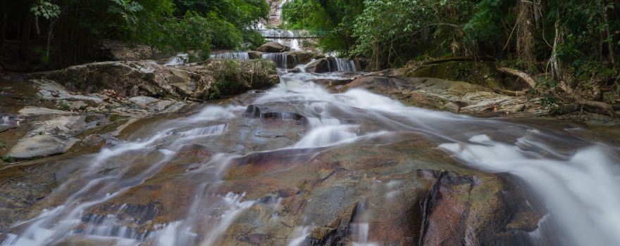 Lata Kinjang