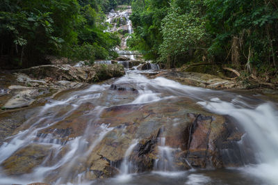 Lata Kinjang
