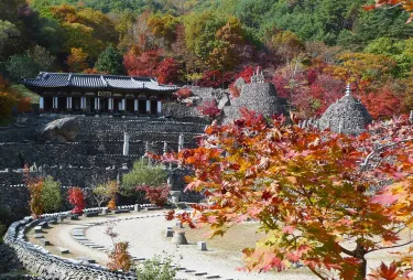 河東郡
