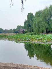 Guiyuan Garden