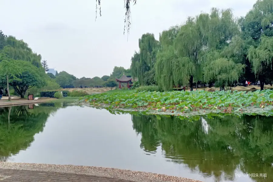 Guiyuan Garden