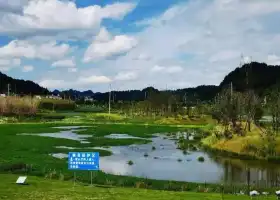 鳳凰生態公園