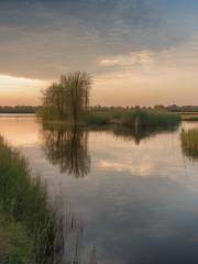 Nature Reserve: Lisia Góra