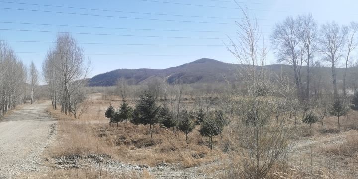 Azalea Slope of Cuiping Mountain