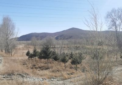 Azalea Slope of Cuiping Mountain