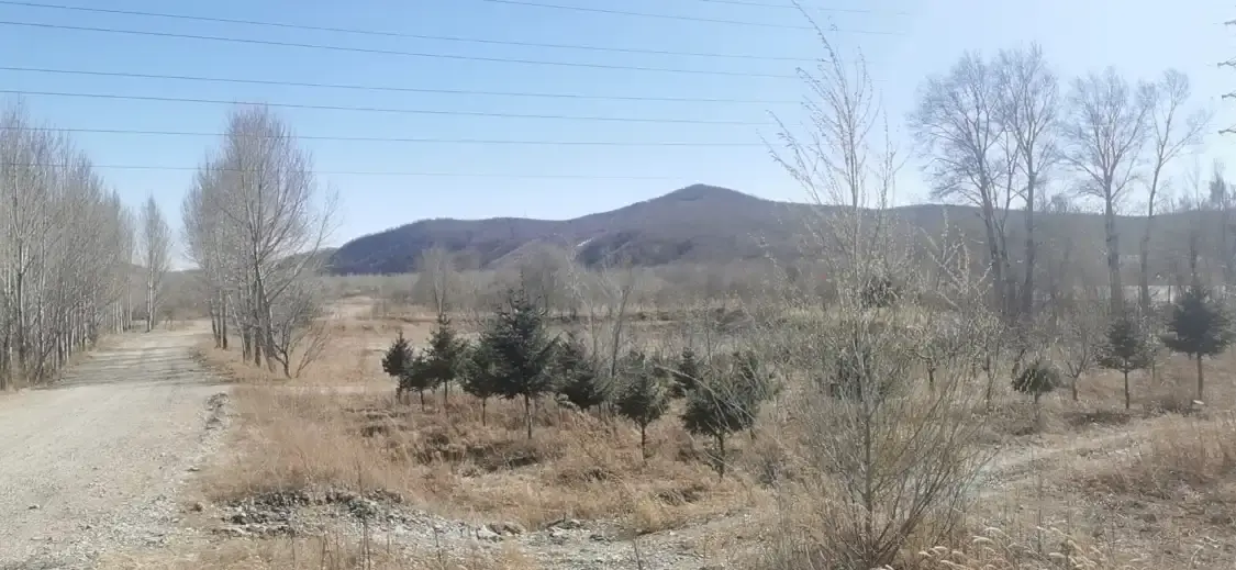 Hotels near Azalea Slope of Cuiping Mountain