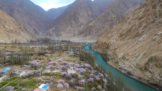 pa mi er gao yuan fu di xing hua gou