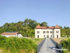 Réserve Naturelle Nationale du Marais d'Orx