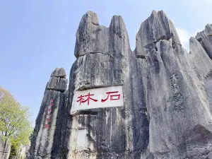 Qifeng Cave