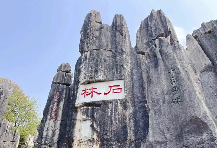 Hotels near Qifeng Cave