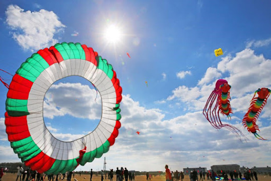 Xiaoyangkou Kite Festival | Rudong