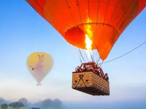Hot Air Balloon Cairns