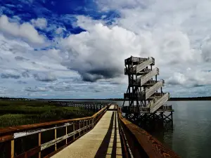 Port Royal Boardwalk and Observation Tower