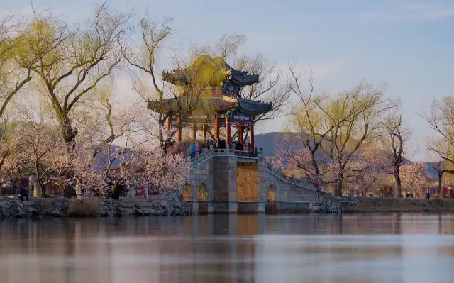 bei jing shang ying hua