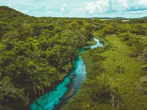 Sucuri River Bonito Ecotourism