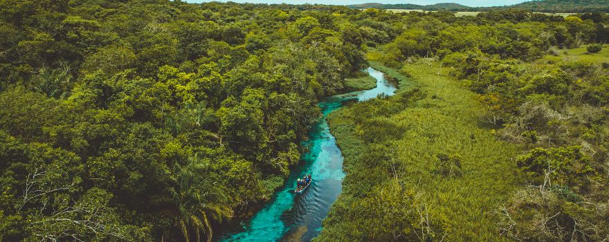 Sucuri River Bonito Ecotourism