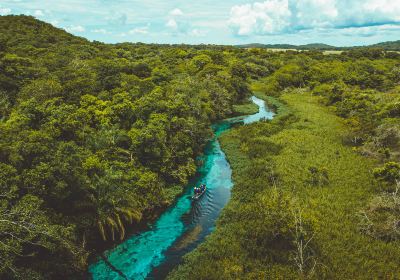 Sucuri River Bonito Ecotourism