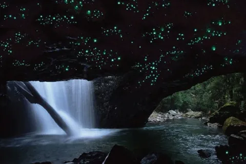 Springbrook National Park