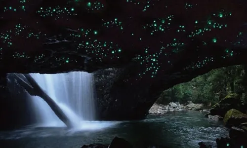 Springbrook National Park
