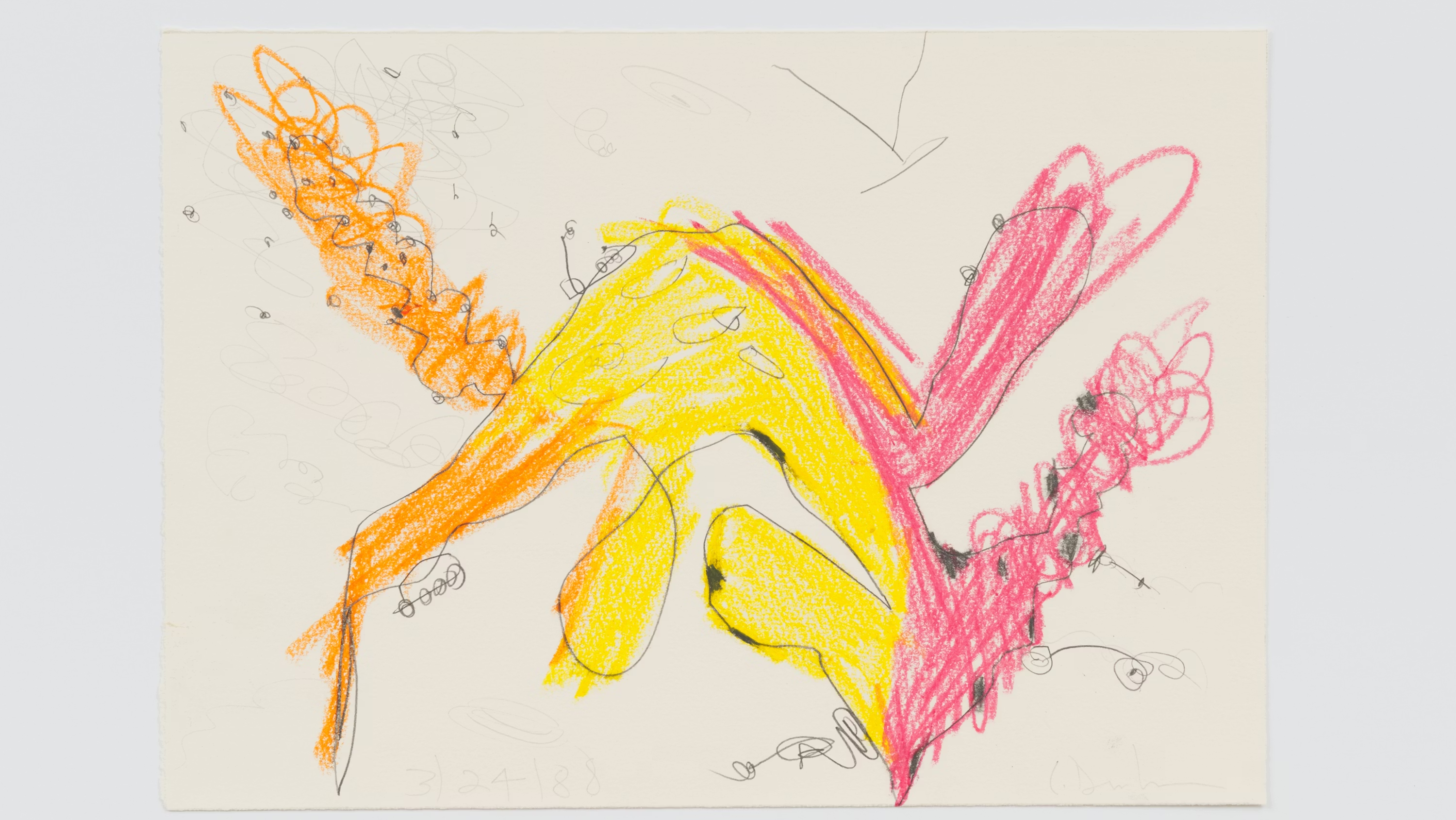 Carroll Dunham: Drawings, 1974–2024 | The Art Institute of Chicago